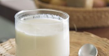 reseña y análisis de las mejores yogurteras de 2021