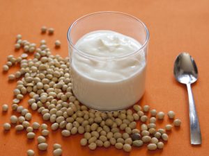 propiedades de los yogures de soja